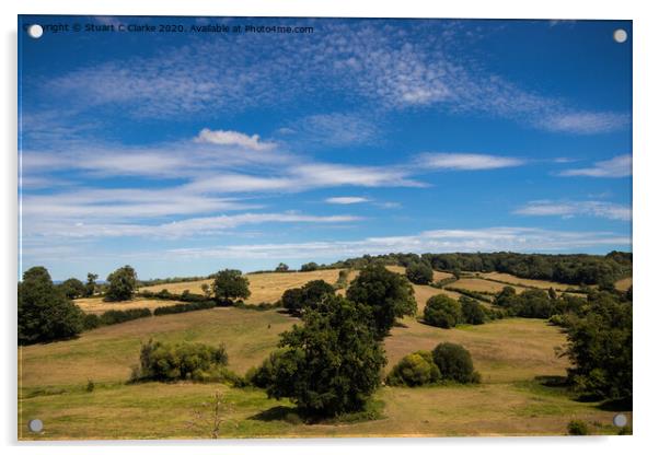 Petworth countryside Acrylic by Stuart C Clarke