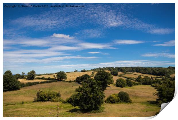 Petworth countryside Print by Stuart C Clarke