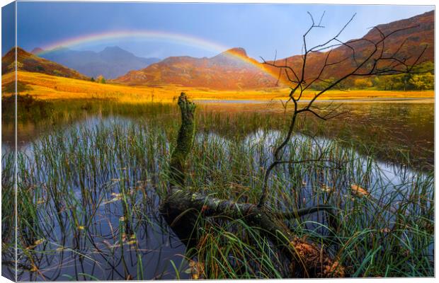 Autumn light in the Lake District Canvas Print by John Finney