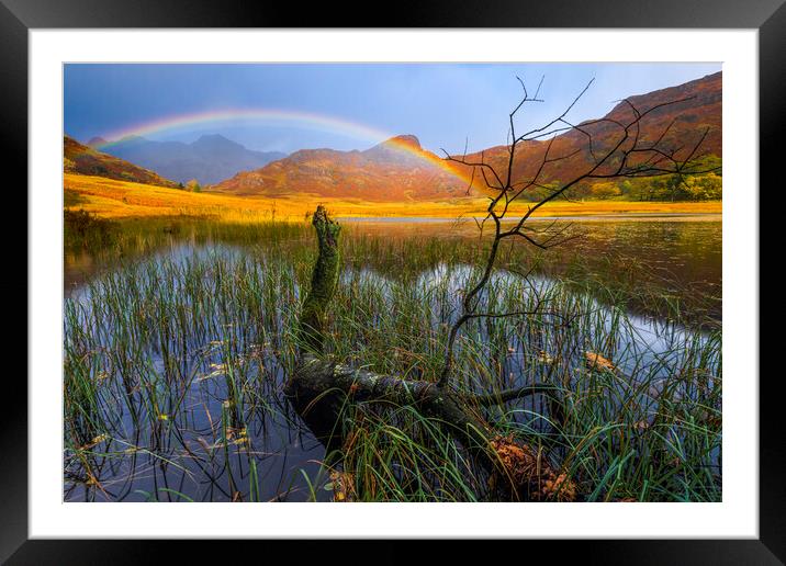 Autumn light in the Lake District Framed Mounted Print by John Finney