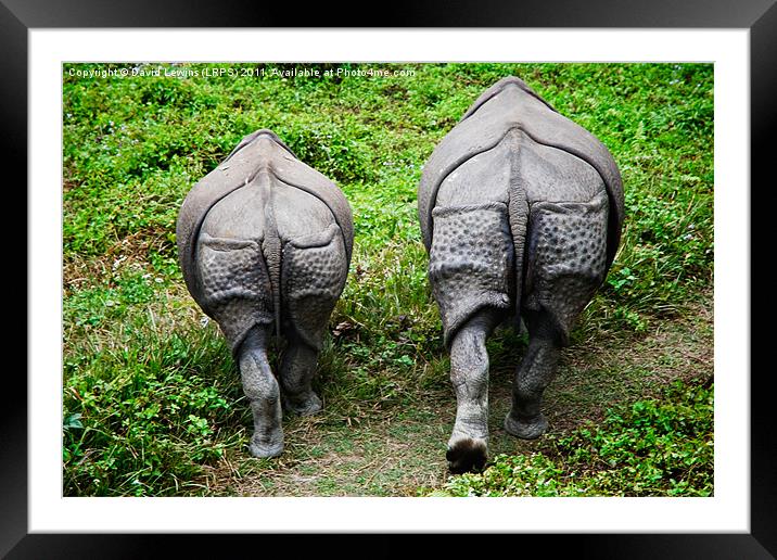 Camera Shy Rhinoceros Framed Mounted Print by David Lewins (LRPS)
