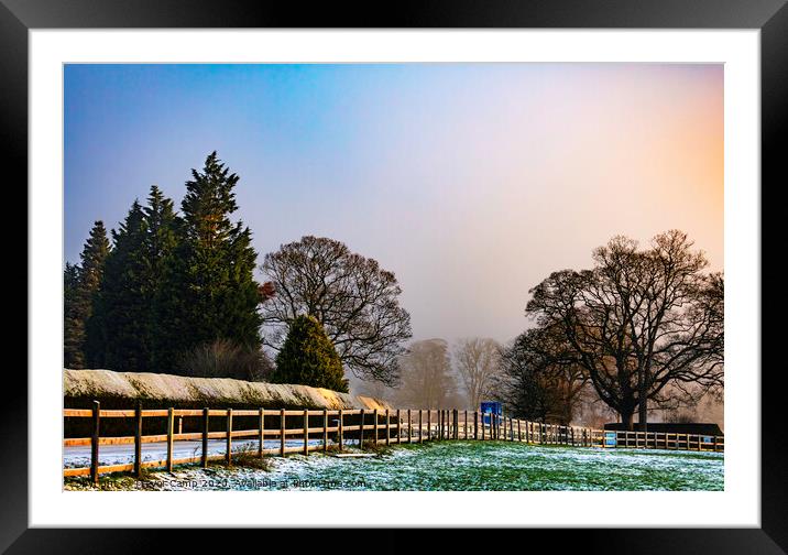 Winter's Golden Sunlight Framed Mounted Print by Trevor Camp