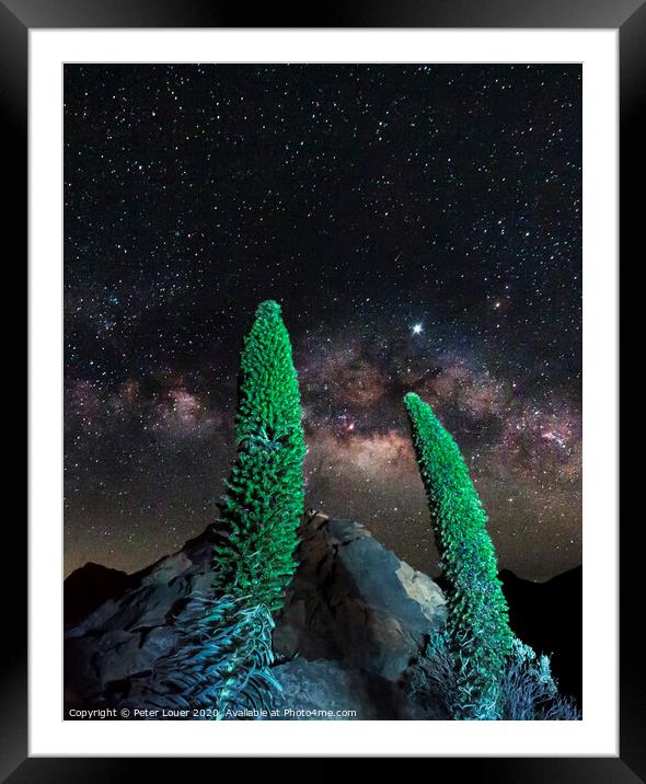 Tajinaste Plants reaching for the Milky Way Framed Mounted Print by Peter Louer