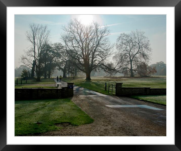 Early morning runners at Hylands Park, Chelmsford, Essex, UK. Framed Mounted Print by Peter Bolton