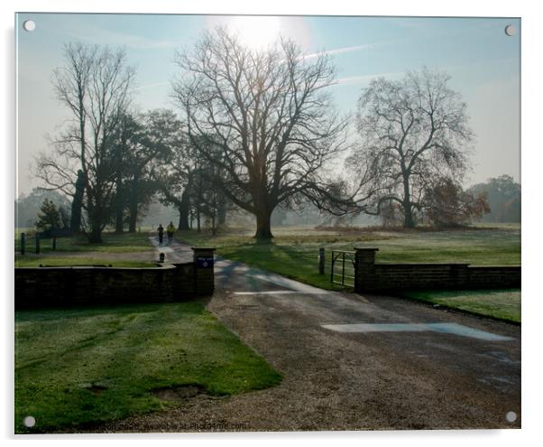Early morning runners at Hylands Park, Chelmsford, Essex, UK. Acrylic by Peter Bolton