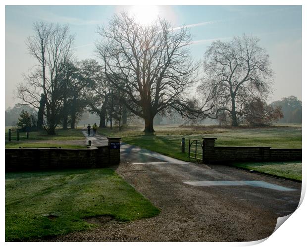 Early morning runners at Hylands Park, Chelmsford, Essex, UK. Print by Peter Bolton