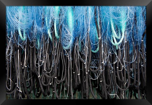 Blue Fishing Net Abstract Framed Print by Alexandra Lavizzari