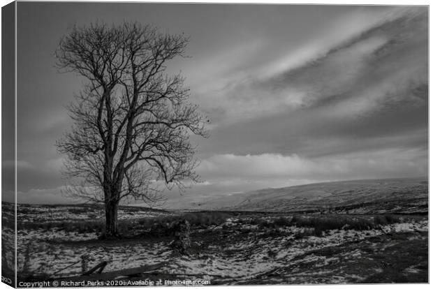 Lone tree in the Yorkshire Dales Canvas Print by Richard Perks