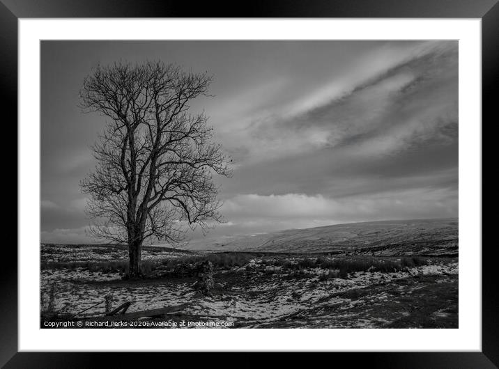 Lone tree in the Yorkshire Dales Framed Mounted Print by Richard Perks
