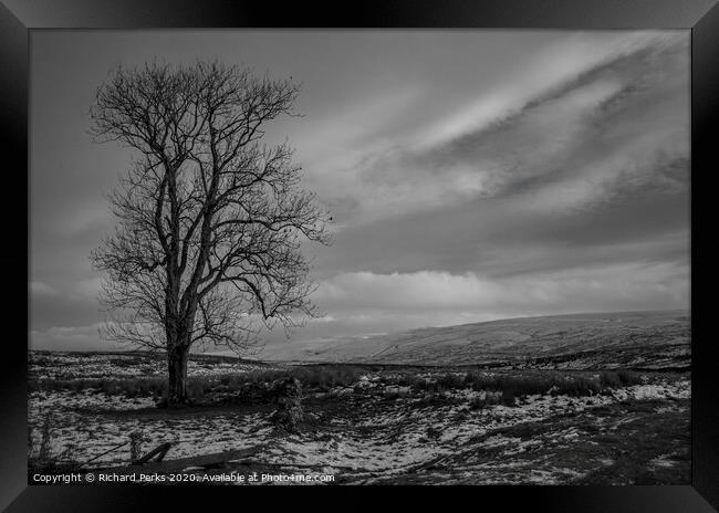 Lone tree in the Yorkshire Dales Framed Print by Richard Perks