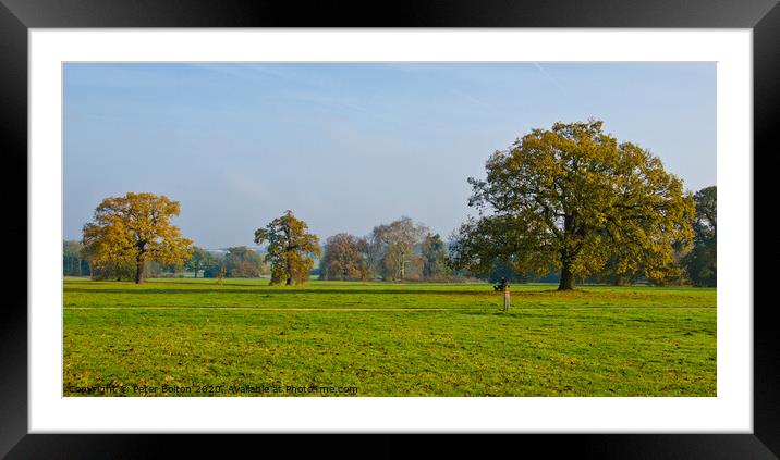 Morning at Hylands Country Park, Chelmsford, Essex, UK. Framed Mounted Print by Peter Bolton