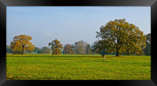 Morning at Hylands Country Park, Chelmsford, Essex, UK. Framed Print by Peter Bolton