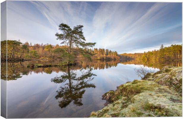 Frost and reflections at Tarn Hows Canvas Print by Jonathon barnett