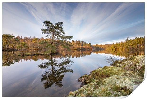 Frost and reflections at Tarn Hows Print by Jonathon barnett
