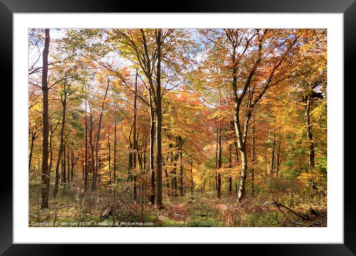 Autumn Colour Framed Mounted Print by Jim Key