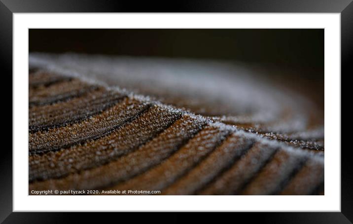 Frosted post Framed Mounted Print by Paul Tyzack