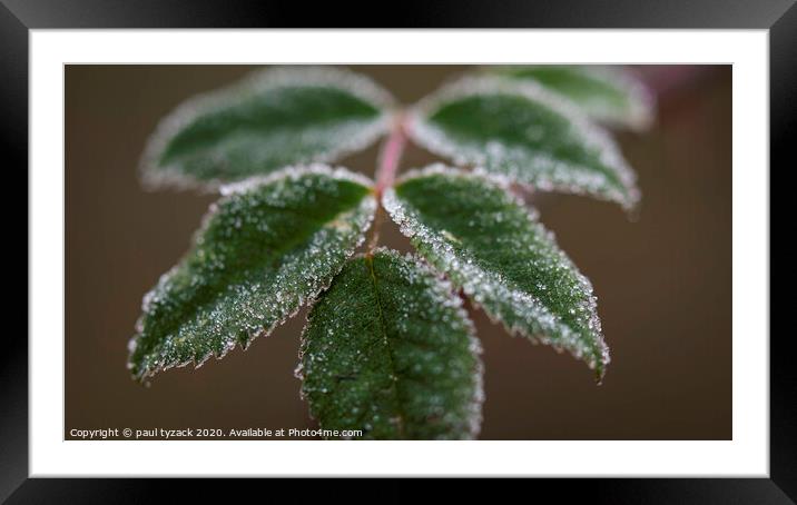 Frosted Leaves Framed Mounted Print by Paul Tyzack