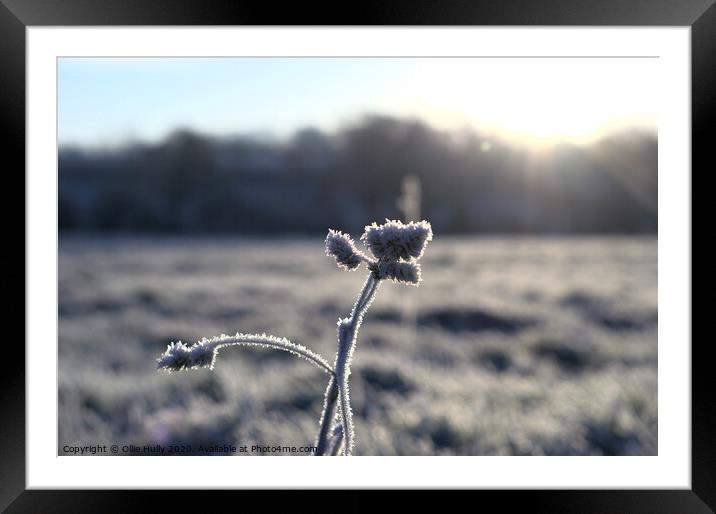 Cold Frost Framed Mounted Print by Ollie Hully