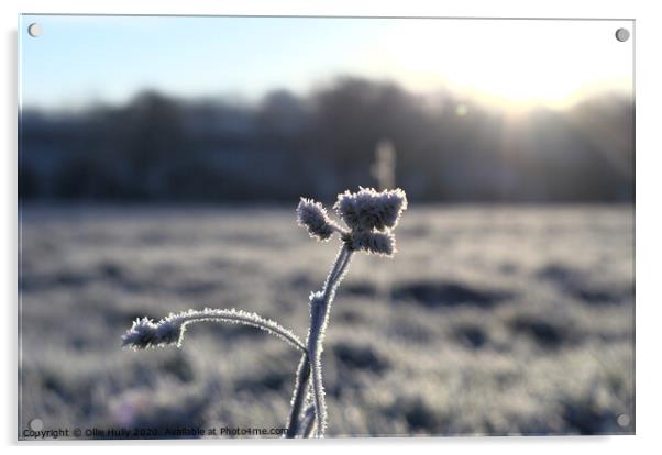 Cold Frost Acrylic by Ollie Hully