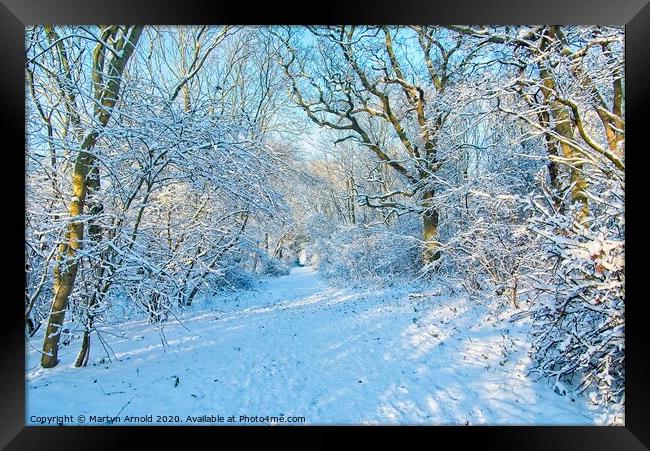 Winter Woodland Walk Framed Print by Martyn Arnold