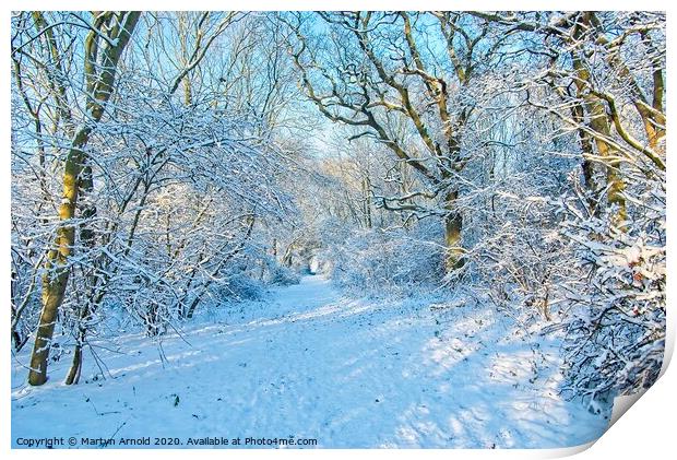 Winter Woodland Walk Print by Martyn Arnold