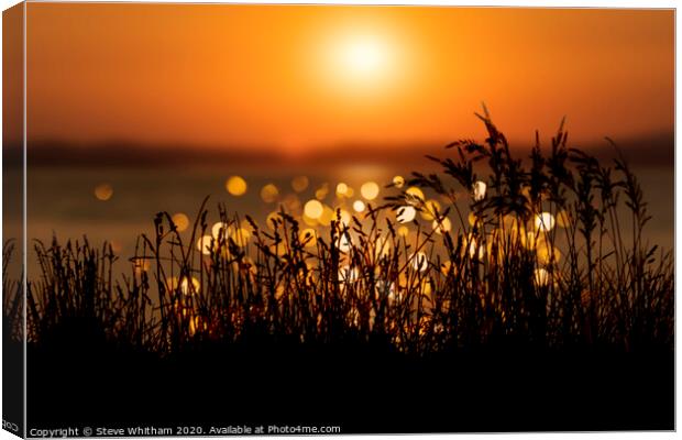 Soft light at sunset. Canvas Print by Steve Whitham