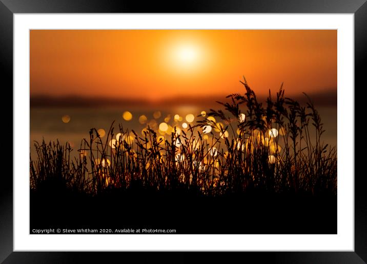 Soft light at sunset. Framed Mounted Print by Steve Whitham