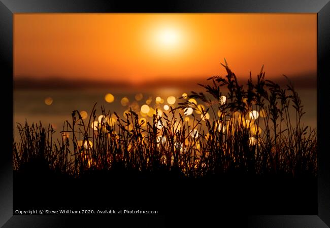 Soft light at sunset. Framed Print by Steve Whitham