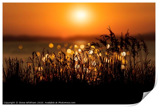 Soft light at sunset. Print by Steve Whitham