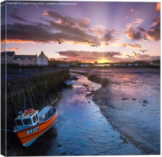 Sunset over Garlieston harbour Canvas Print by David Irving