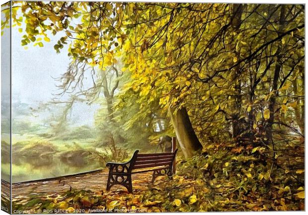 Take a seat in a misty wood Canvas Print by ROS RIDLEY