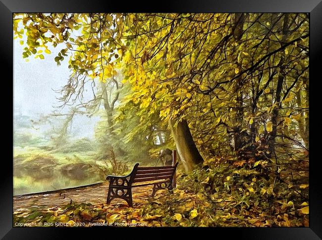 Take a seat in a misty wood Framed Print by ROS RIDLEY
