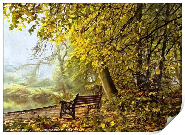 Take a seat in a misty wood Print by ROS RIDLEY