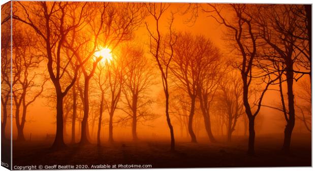 Misty woodland morning Canvas Print by Geoff Beattie