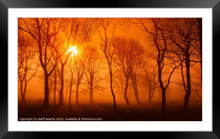 Misty woodland morning Framed Mounted Print by Geoff Beattie