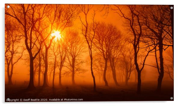 Misty woodland morning Acrylic by Geoff Beattie