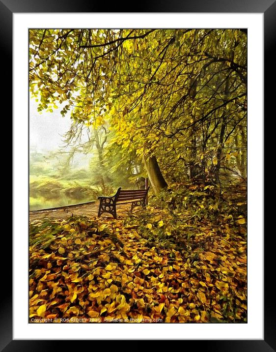 Seat in a foggy wood Framed Mounted Print by ROS RIDLEY