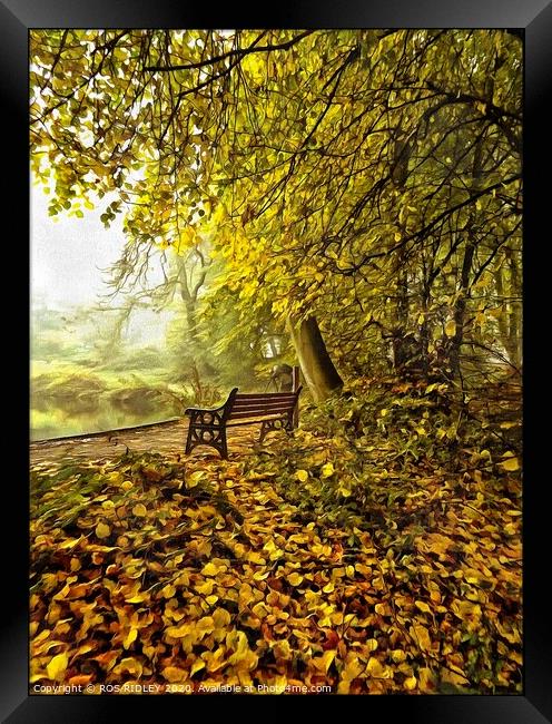 Seat in a foggy wood Framed Print by ROS RIDLEY