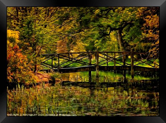 Autumn at the bridge Framed Print by ROS RIDLEY