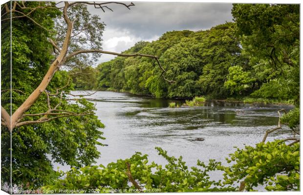 A view of a river through a gap in trees in summer Canvas Print by SnapT Photography