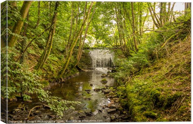 Water flowing over an old weir and through a woodland, over stones Canvas Print by SnapT Photography