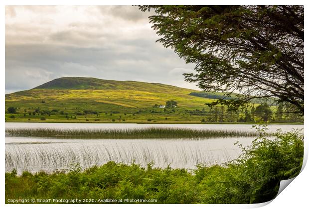 A view of Loch Stroan with a reed bed and the hill Print by SnapT Photography