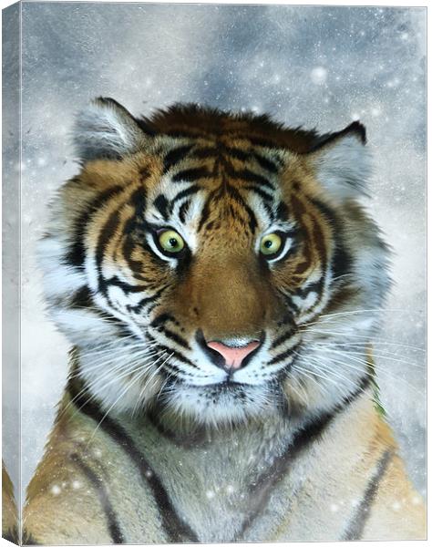 Not Quite the Full Deck - Tiger art canvas print Canvas Print by Julie Hoddinott