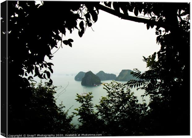 Silhouette of vegetation, with a view of Ha Long Bay. Canvas Print by SnapT Photography