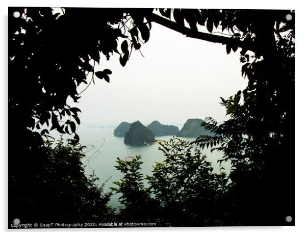 Silhouette of vegetation, with a view of Ha Long Bay. Acrylic by SnapT Photography