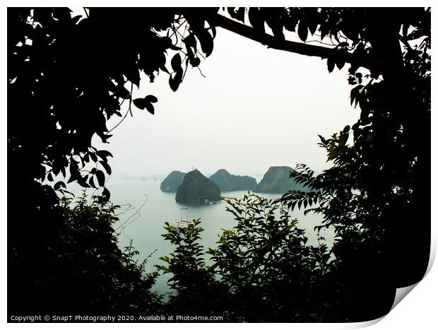 Silhouette of vegetation, with a view of Ha Long Bay. Print by SnapT Photography