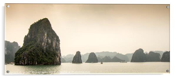 Limestone karst islands in Ha long Bay, Vietnam Acrylic by SnapT Photography