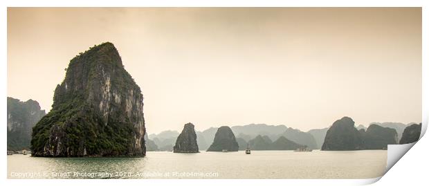 Limestone karst islands in Ha long Bay, Vietnam Print by SnapT Photography