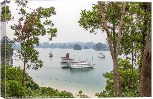 A beautiful view of junk boats in Ha Long Bay through trees Canvas Print by SnapT Photography