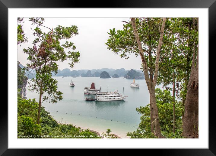 A beautiful view of junk boats in Ha Long Bay through trees Framed Mounted Print by SnapT Photography